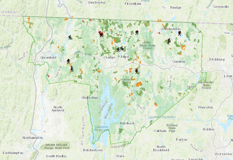 interactive map